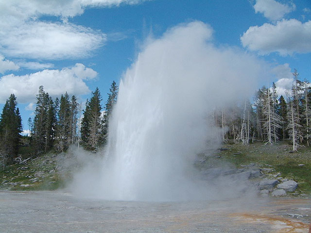 Yellowstone geyzer w.jpg